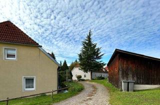 Wohnung mieten in Neue Heimat, 4360 Grein, 3 ZIMMER ERDGESCHOSSWOHNUNG MIT TERRASSE IN GREIN AN DER DONAU