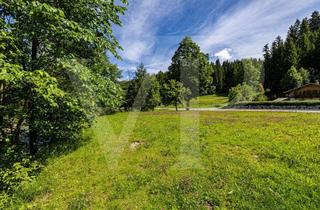 Grundstück zu kaufen in 6371 Aurach bei Kitzbühel, Sonnenverwöhntes Grundstück mit Baugenehmigung