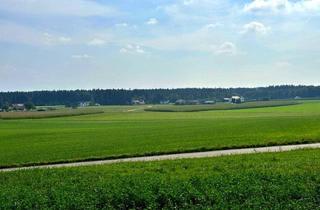 Grundstück zu kaufen in 5122 Hochburg, • Wunderschöner Bergblick*Großzügiges Baugrundstück in idyllischer Lage