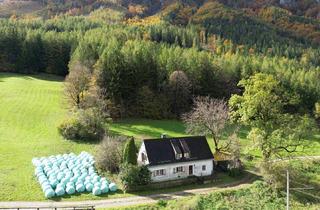 Haus kaufen in 8790 Eisenerz, Romantisches Cottage in Alleinlage auf 5.555 m² Grund mit großzügigem Holzbezugsrecht