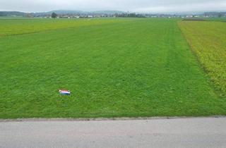 Grundstück zu kaufen in 5221 Lochen am See, Landwirtschaftlicher Nutzgrund