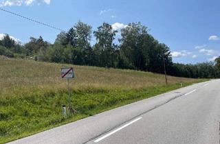 Grundstück zu kaufen in 4092 Schacher, Donau.Blick - Grundstück mit Grünland in Pyrawang (Nahe Passau)