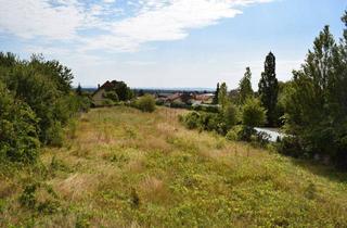 Grundstück zu kaufen in Schönweg, 2504 Sooß, Herrliches großes Grundstück mitten in Sooss, schöner Fernblick und RUHE