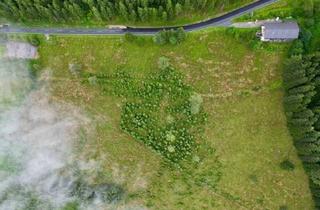 Grundstück zu kaufen in 9431 Kleinedling, KORALPE: Grundstück mit touristischer Nutzung und vielen Möglichkeiten!