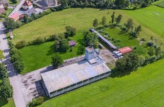 Lager kaufen in 4983 Sankt Georgen bei Obernberg am Inn, Betriebsliegenschaft in Grenznähe mit vielen Möglichkeiten