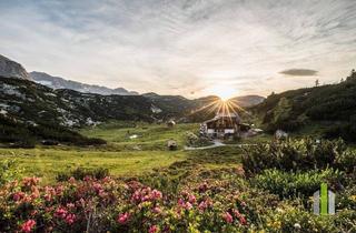 Almhütte zu kaufen in 4831 Obertraun, Berghütte/Alm in traumhafter Alleinlage mit Blick auf das atemberaubende Dachsteinmassiv