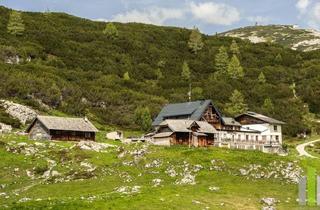 Anlageobjekt in 4831 Obertraun, Berghütte/Alm in traumhafter Alleinlage mit Blick auf das atemberaubende Dachsteinmassiv