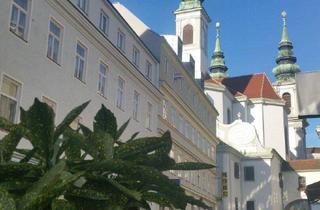 Wohnung mieten in Barnabitengasse, 1060 Wien, Wohnung in Top-Lage im Herzen von Mariahilf