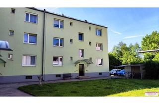 Wohnung kaufen in 2630 Ternitz, Neuer Preis! Wohnung mit Balkon neben Stadtpark Ternitz zu verkaufen!