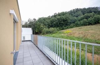 Wohnung mieten in Wienerwaldstraße 3, 3033 Altlengbach, ERSTBEZUG: schöne Dachterrassenwohnung mit Garage