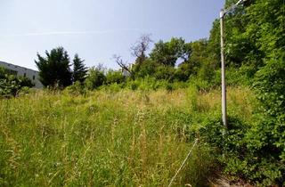 Grundstück zu kaufen in 2340 Mödling, Bauträger Eignung: Baugrund direkt am Waldrand - Mödlinger Zentrumslage, unverbaubarer Fernblick, 1.350 m²