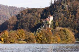 Haus mieten in 4092 Esternberg, Faszinierende Wohnmöglichkeit als Burgherr oder Burgherrin