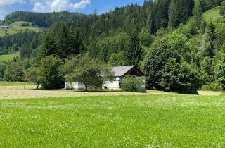 Grundstück zu kaufen in Hauptstraße 36, 8762 Oberzeiring, 8762 Oberzeiring - Grundstück mit Haus und landwirtschaftlicher Nutzfläche