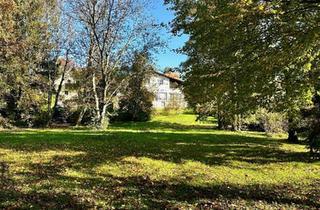 Haus kaufen in 2851 Krumbach, DOMIZIL MIT PARKGARTEN