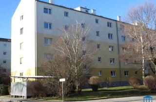 Wohnung mieten in 2700 Wiener Neustadt, Mietwohnung in Wiener Neustadt im Ungarviertel