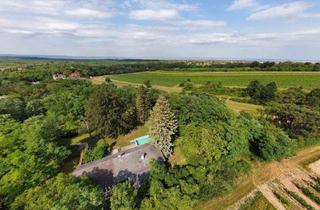 Haus kaufen in Weinberggasse, 7062 Sankt Margarethen im Burgenland, Neusiedlersee - Großzügiges Grundstück mit Bungalow in herrlicher Einzellage, oberhalb von Rust!