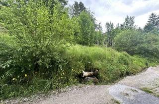 Grundstück zu kaufen in 6103 Reith bei Seefeld, Leistbares Baugrundstück in ruhiger Lage in Reith bei Seefeld