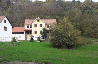 Lager kaufen in 2833 Michelbach, Bauernhaus Ferienwohnsitz mit Grünland