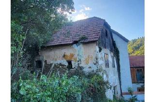 Grundstück zu kaufen in 3500 Krems an der Donau, *NEU *Märchenhaft großes Grundstück in Handlage mit grandiosen Ausblick auf die Burgruine Rehberg in 3500 Krems an der Donau