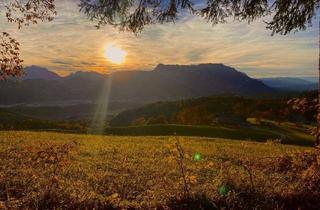 Almhütte zu kaufen in 5425 Krispl, IN DER RUHE LIEGT DIE KRAFT I Krispl: Traumhafte Sonnenuntergänge in Alleinlage