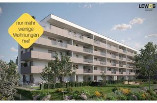 Wohnung kaufen in Auf der Wies, 4040 Linz, Urfahr. Auf der Wies - Top C01 Gartenwohnung mit TG-Parkplatz