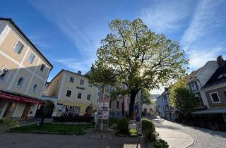 Büro zu mieten in Rathausplatz, 4560 Kirchdorf an der Krems, SIE WOLLEN SICH SELBSTSTÄNDIG MACHEN? DANN IST DIESE IMMOBILIE DAS RICHTIGE