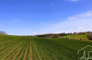 Grundstück zu kaufen in 7551 Stegersbach, Top Preis - Grundstück in Ruhelage mit Panoramablick zum Kauf!