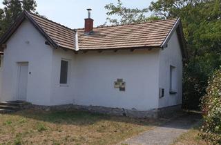 Haus kaufen in 7143 Apetlon, Kleines Haus + großer Naturgarten im Nationalpark Neusiedler See