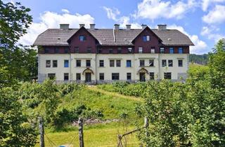 Mehrfamilienhaus kaufen in 8630 Mariazell, Eigenheim sowie Renditeobjekt auf 7.942 m² Grundstück