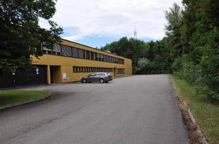 Büro zu mieten in Industriestrasse, 6812 Meiningen, Der Standort für ihr Unternehmen - kleine Bürofläche im 1. OG in Meiningen