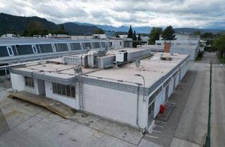 Büro zu mieten in 9020 Klagenfurt, VIELSEITIGE PRODUKTIONSHALLE MIT EIGENEN BÜROFLÄCHEN und weiteren Annehmlichkeiten im PHILIPS-BUSINESS-KOMPLEX in Klagenfurt