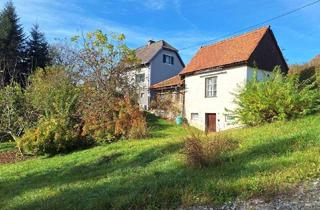 Haus kaufen in 8302 Nestelbach bei Graz, Charmantes Haus mit Nebengebäude für Gartenliebhaber!