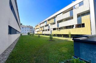 Wohnung mieten in 3002 Purkersdorf, 38 m² Apartment mit Loggia im Grünen in Purkersdorf zu mieten!