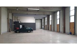 Büro zu mieten in 2331 Vösendorf, Eigenständiges kompaktes Betriebsobjekt 500 m² Halle und 123 m² Büro zu vermieten