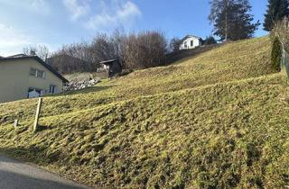 Grundstück zu kaufen in Am Schlossberg 15, 4531 Kematen an der Krems, Traumhaftes Grundstück mit Fernsicht - extrem Preiswert im Zentrum von Kematen an der Krems