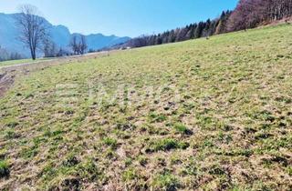 Grundstück zu kaufen in 4563 Micheldorf, Blick auf die Kremsmauer - Ruhelage mit Urlaubsflair!