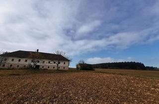 Immobilie kaufen in 3351 Weistrach, 16 ha Landwirtschaft mit Mostviertler Vierkanthof