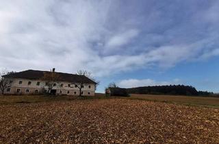 Gewerbeimmobilie kaufen in 3351 Weistrach, 16 ha Landwirtschaft mit Mostviertler Vierkanthof