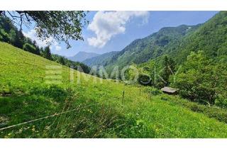 Haus kaufen in 4591 Molln, Lage! Lage! Lage! Berge, Wälder, Wiesen zum genießen!