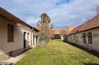 Haus kaufen in 2320 Schwechat, Historischer GUTSHOF in 2320 Rauchenwarth