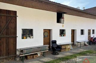 Mehrfamilienhaus kaufen in 2164 Wildendürnbach, * Familienresidenz im Weinbaugebiet *