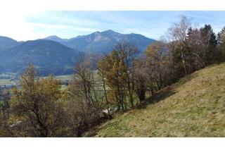 Grundstück zu kaufen in 8784 Dietmannsdorf bei Trieben, Baugrundstück mit traumhaftem Ausblick!