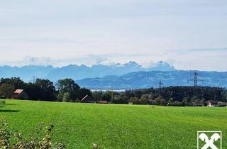 Haus kaufen in 6914 Hohenweiler, Wohnhaus mit teilbarem Grundstück in Aussichtslage