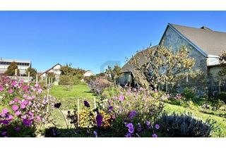 Einfamilienhaus kaufen in 7312 Horitschon, MIT GROSSEM GEPFLEGTEM OBSTBAUMGARTEN U. 2 ZUFAHRTEN