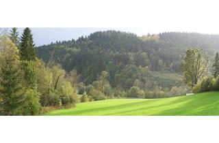 Haus mieten in 8153 Geistthal, Natur Pur 20km/20min nach Graz und Flughafen