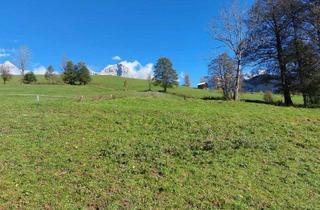 Grundstück zu kaufen in 5761 Alm, Wunderschönes Baugrundstück in erhöhter Lage von Maria Alm (ca. 503 qm)