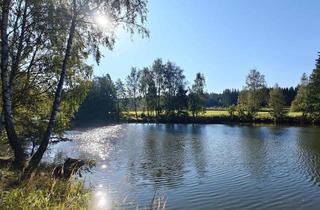 Grundstück zu kaufen in Fischteich, 3910 Zwettl-Niederösterreich, Naturparadies mit großem Fischteich und autarker Hütte im wunderschönen Waldviertel