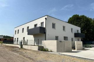 Wohnung mieten in Fritz Peichl-Gasse, 2011 Sierndorf, Neue Gartenwohnung in 2011 Sierndorf