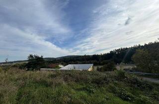 Grundstück zu kaufen in 3123 Obritzberg, unbebautes Grundstück mit südlichem Fernblick zu verkaufen