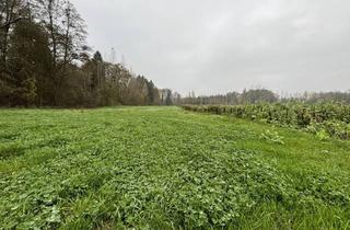 Grundstück zu kaufen in 4343 Mitterkirchen, Landwirtschaftliche Fläche mit Waldanteil und guter Erreichbarkeit